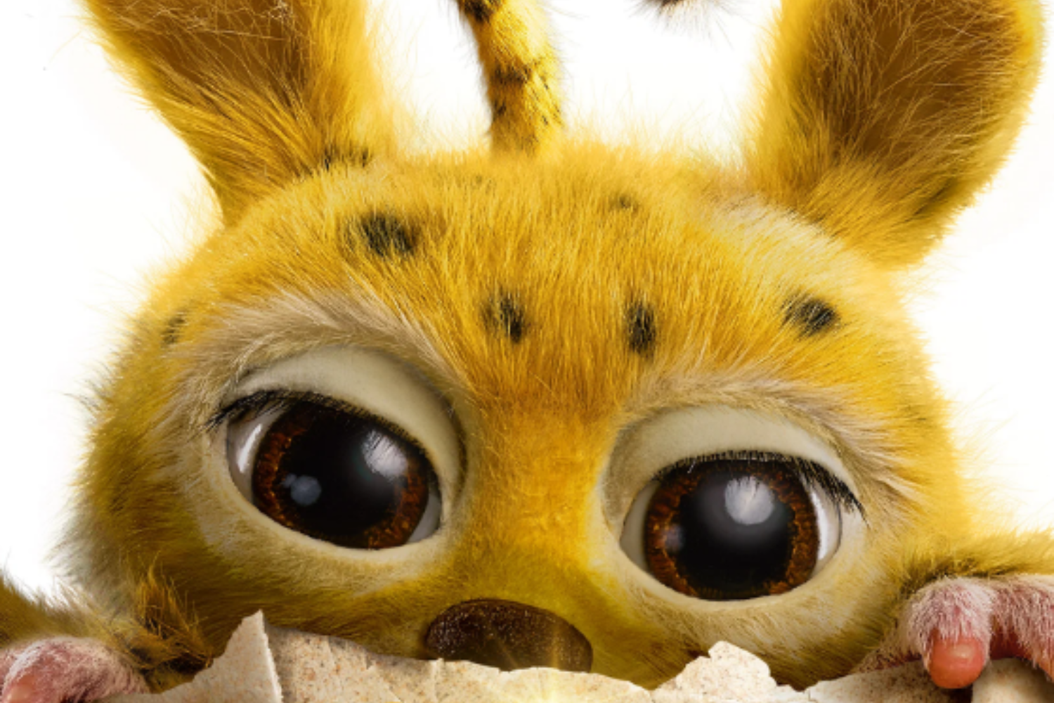 Марсупилами. Пушистый круиз